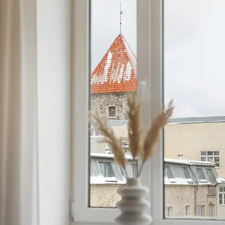 Old Town Design - 3 Min To Christmas Market 公寓 *